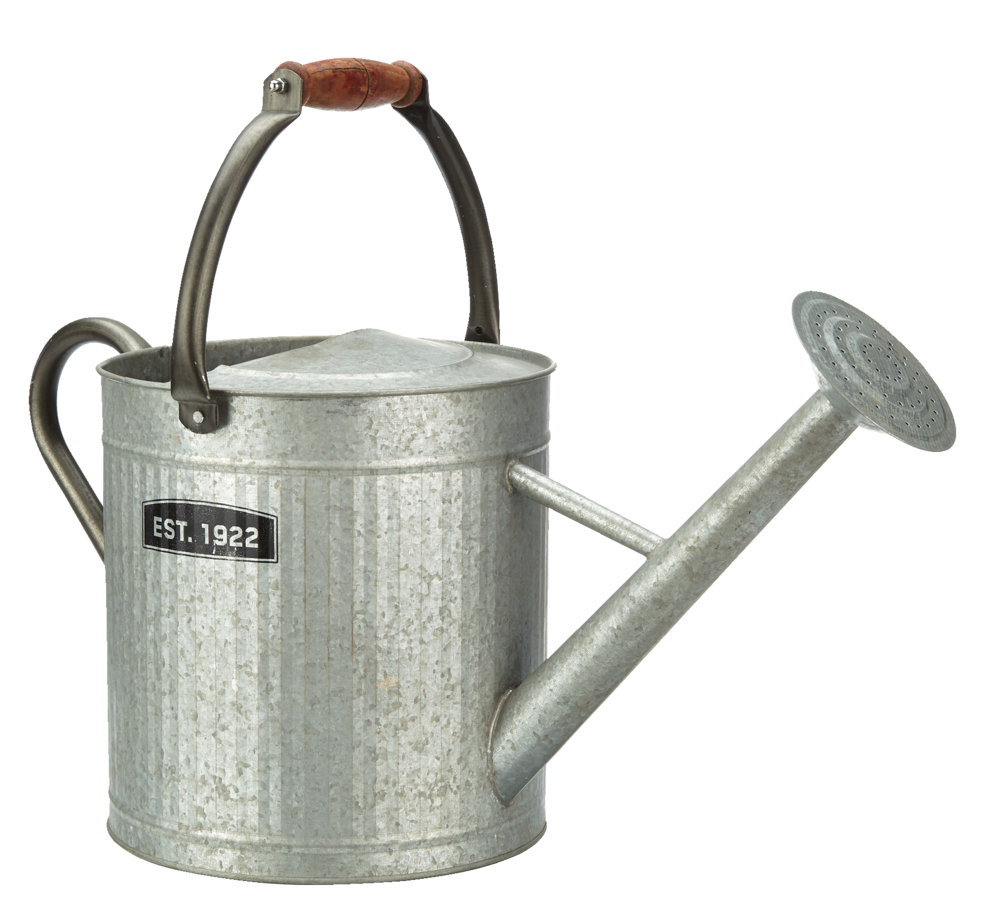 Panacea Vintage-Stil dekorative Gießkanne mit Holzgriff, 7,5-l, (1,8 US gal), Silber