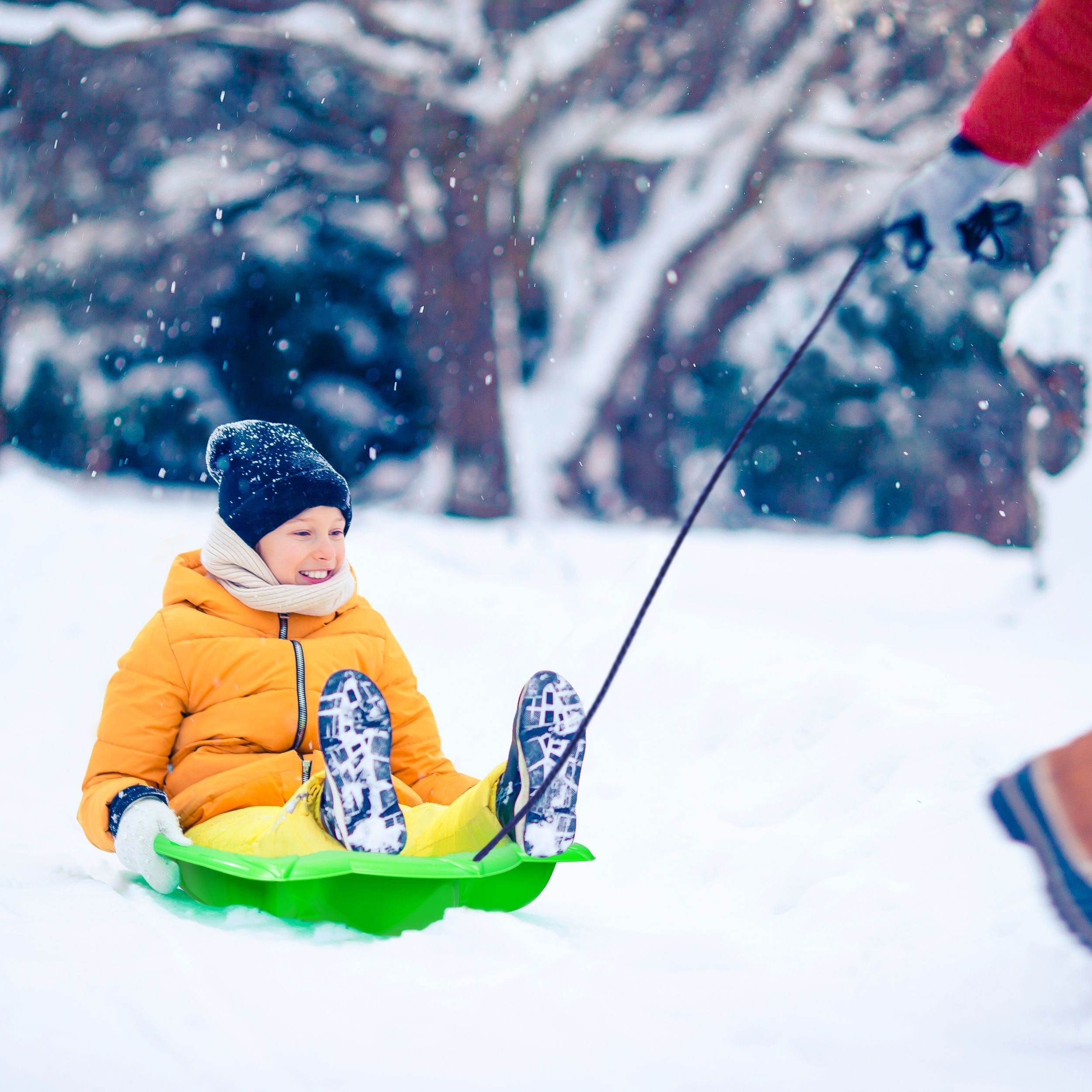 T-Rex Dinosaurier Pfoten Kinder 1-Personen-Plastik Winter Schneeschlitten / Rodel mit Schleppseil